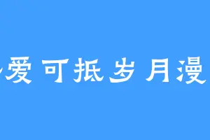 热爱可抵岁月漫长