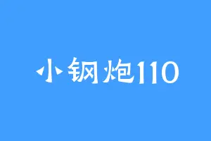 小钢炮110