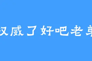 权威了好吧老弟