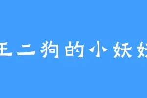 王二狗的小妖妖
