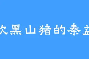喜欢黑山猪的秦益华