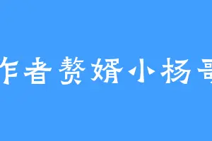 作者赘婿小杨哥