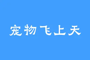 宠物飞上天