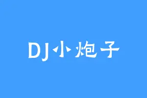 DJ小炮子