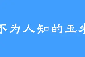 不为人知的玉米