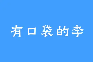 有口袋的李