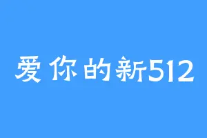 爱你的新512