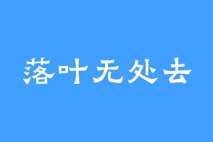 落叶无处去